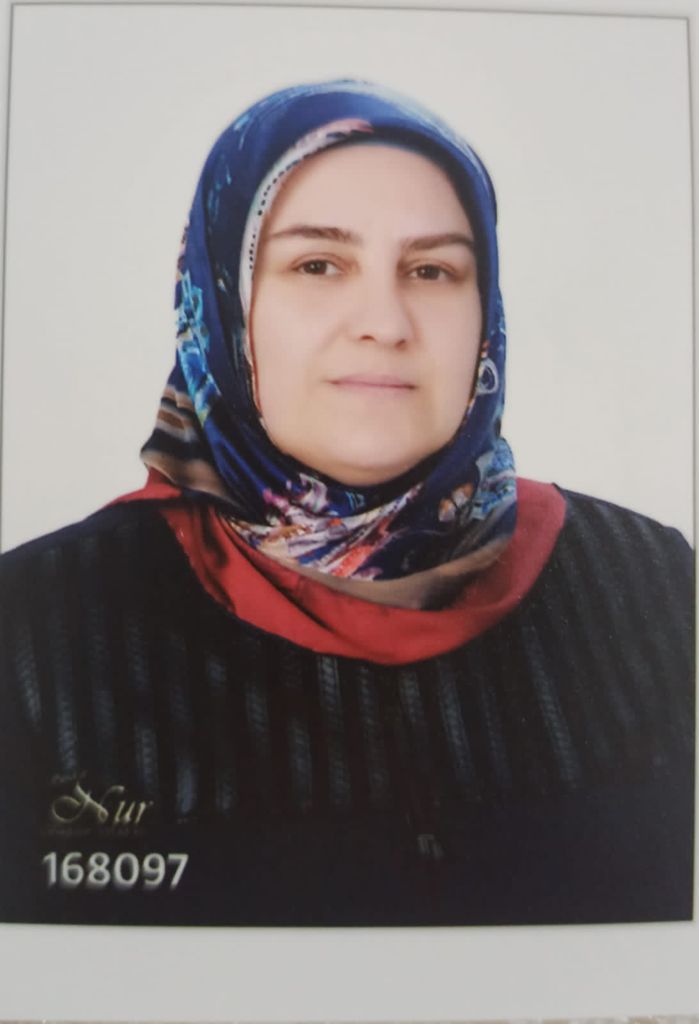 ayse-sakar