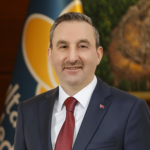 ali-tombas