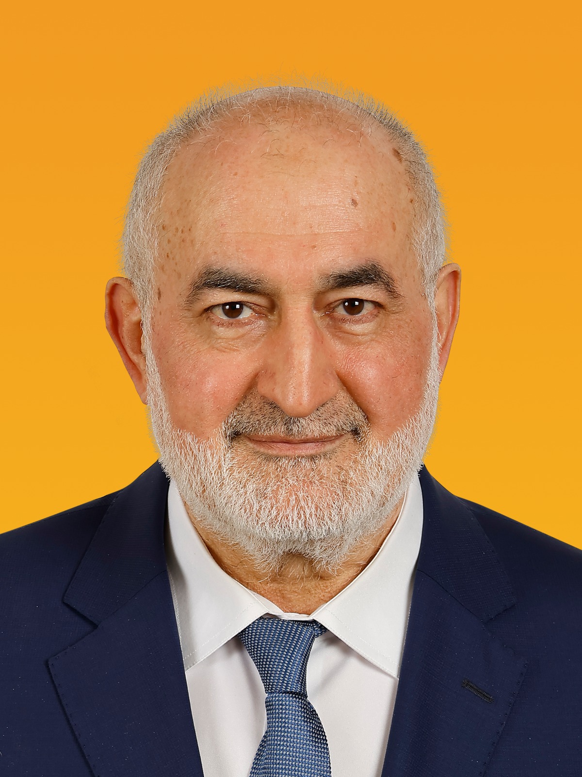 Ömer Lütfi Arı
